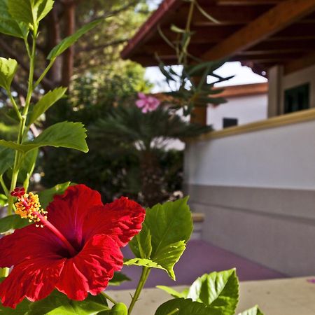 Green Park Village Vieste Buitenkant foto